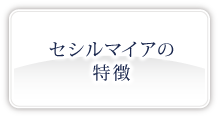 商品の特徴